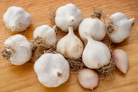 Group of whole garlic and cloves on a wooden board.の写真素材