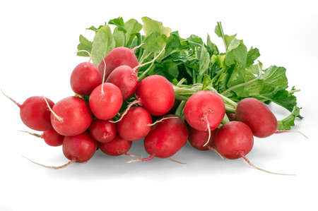 Bunch of fresh red radishes isolated on white background.の写真素材