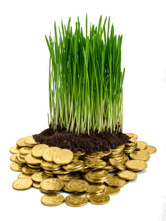 Young wheatgrass grown on soil and gold coins, isolated on white background. Concept of investment in agriculture.の写真素材