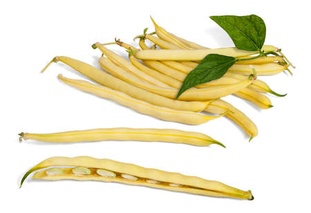 Yellow wax bean pods with leaf isolated on white.の写真素材
