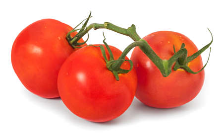 Three fresh tomatoes on the vine isolated on white.の写真素材