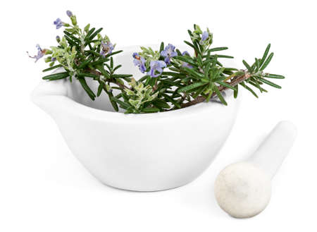 Bloomed Rosemary with Mortar and Pestle, isolated on a white background.の写真素材