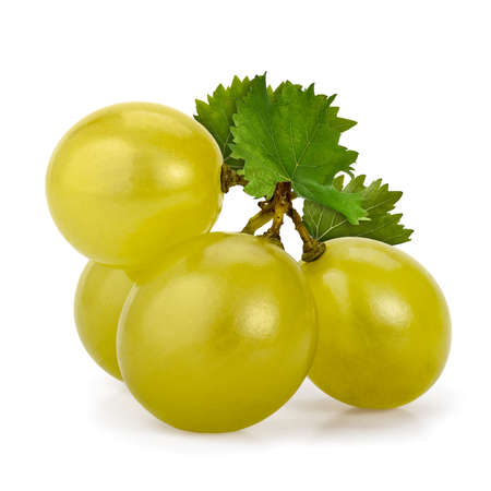 Macro shot of a few green grapes berries with leaves, isolated on white.の写真素材