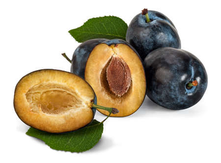 A few Plums (Prunus domestica), with leaves, on white background.の写真素材