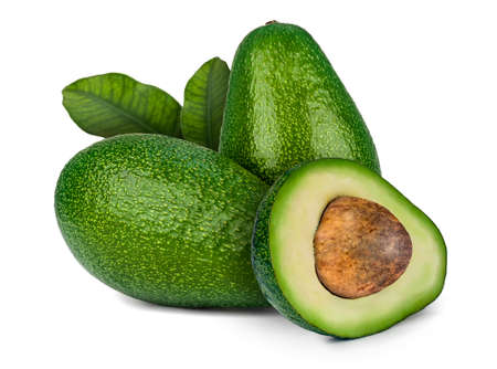The avocado (Persea americana) is a tree, possibly originated in the Tehuacan Valley in the state of Puebla, Mexico.の写真素材