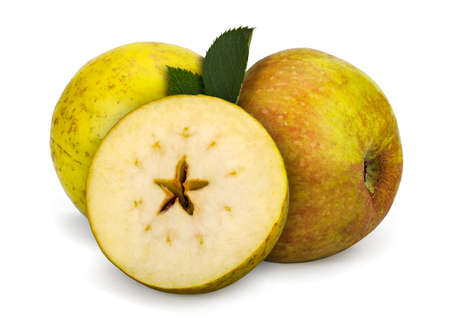 An old cultivar of domesticated apple originating from France, This is a delicious dessert apple, with a pleasant mild dry flavour.の写真素材