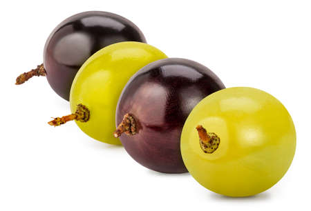 Four macro Muscat berries, isolated on white.の写真素材
