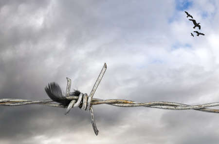Silhouette of birds flying in a grey and cloudy sky, as a symbol of liberty and freedom, above a barbed wire fence.の写真素材