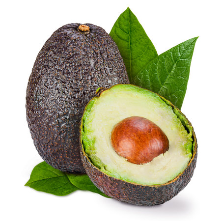 One and a half ripe Hass avocado (Persea americana) with leaves, isolated on white. When ripe, the skin becomes a dark purplish-black, and white-green in the middle.の写真素材