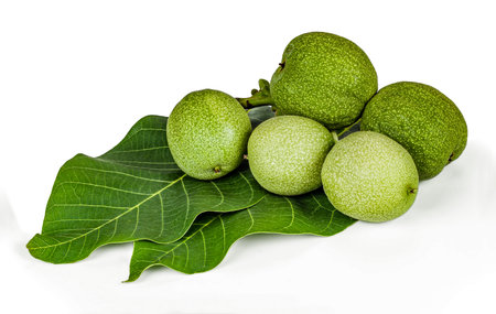 Green walnuts with leaves isolated on a white background.の写真素材
