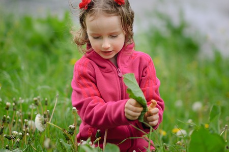The curly girl carefully examines the blade of grass, sitting on a spring clearing. The child knows the world. Children Protection Dayの写真素材