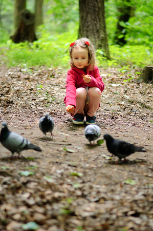 Girl feeds urban pigeons pigeons in the park.の写真素材