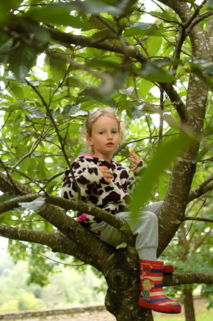 Little curly girl in a spotted fleece and rubber boots is sitting on a tree. Vacation in the village, happy childhoodの写真素材
