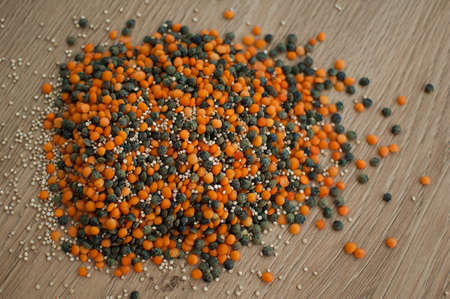 Mixture of legumes, mix of red and black lentil on wooden table. Healthy eating, vegan food