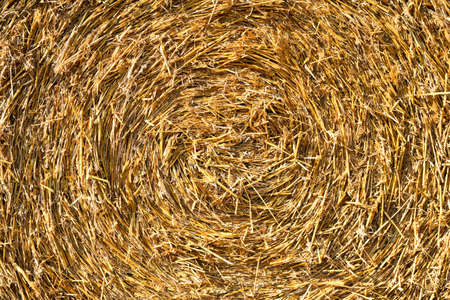 Straw pressed in a round bale