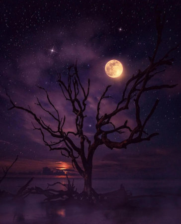 Fantasy landscape with dead tree and full moon in the night sky