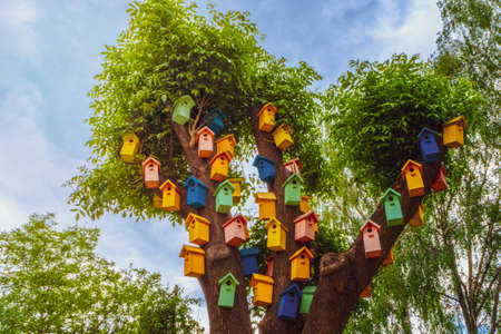 Color nesting boxes on a tree. A lot of colorful birdhouses. The Concept the help to animals. lot of...