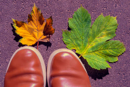 Fall leaves, legs and brown shoes. Conceptual autumn composition. Feet shoes walking in autumn...