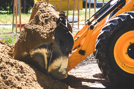 The tractor is rowing sand. Excavator bucket with sand. road, construction work concept