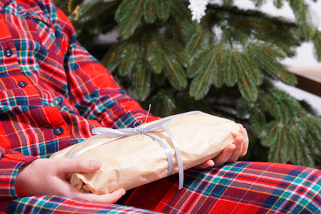 christmas gift. Spruce branches.Hands hold a gift on the background of a Christmas treeの写真素材