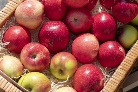 red apples. Group of red apples. Concept Products for healthy eating. Healthy Foods. Organic...