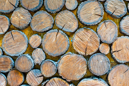 Texture square wooden bars. background of a tree. Wood Texture, Wooden Plank Background, Striped...