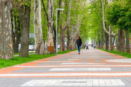 park alley City Park. walk along the avenue. alley