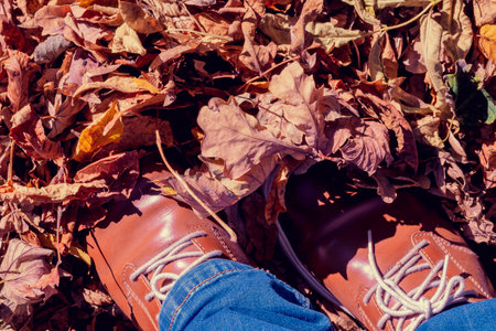 Fall leaves, legs and Brown shoes. Conceptual Autumn composition. Feet shoes walking in autumn forest. The concept of leaf fallの写真素材