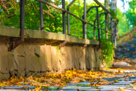 autumn leaves on the sidewalk, paving stones.The fallen-down autumn leaves. Concept fall, autumn. Background of yellow, autumn leaves.の写真素材