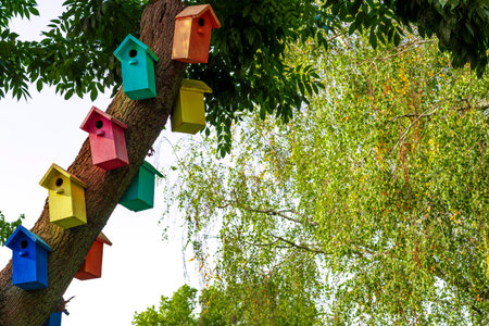 Multicolored Birdhouses.Colored nesting box. Colorful Bird Houses. Houses for birds on a tree