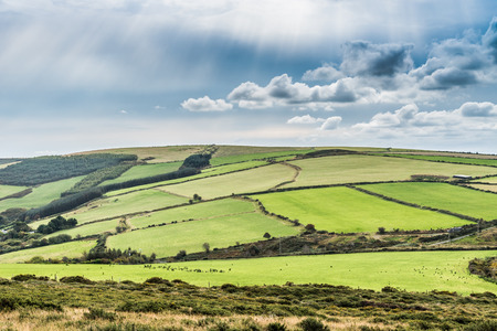 Loveley green Irish meadows on the hill in early autumn morning
