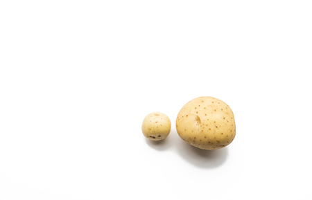 Baby potato and full sized potato isolated on white.の写真素材