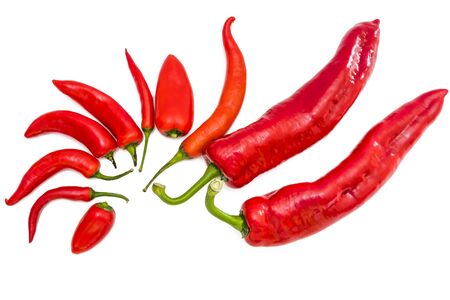A mix of various sized peppers on a white background.の写真素材