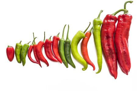 A mix of various sized peppers on a white background.の写真素材