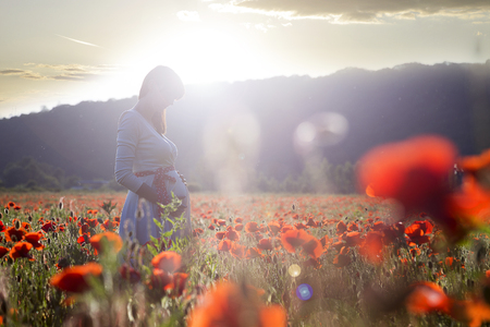 Young pregnant woman walking in the poppy fieldの写真素材