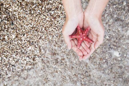 the woman's hands holding a starfish on the beach, close-upの写真素材
