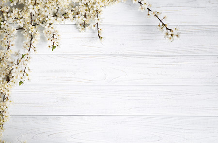 fruit tree flowers on the white wooden background.の写真素材