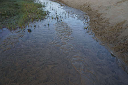 Stream running next to sand