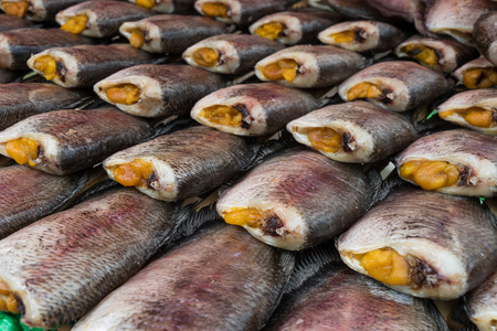 Trichogaster pectoralis fish dried