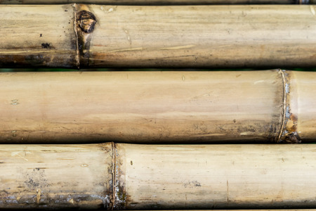 bamboo fence texture backgroundの写真素材