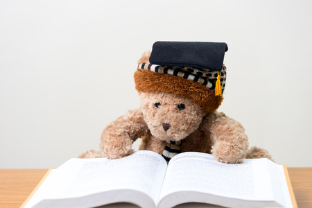 Teddy bear graduate reads a book.back to school.education concept.の写真素材