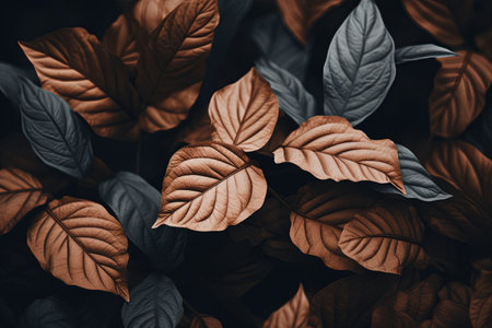 Close up of red and brown leaves with dark background, stock photoの素材