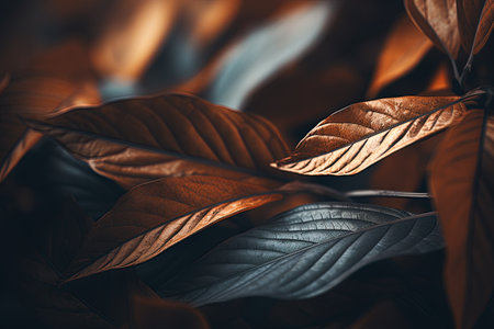 Close up of brown and green leaves background. Nature concept. Toned.の素材