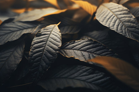 Leaves background. Nature concept. Vintage tone filter effect color style.の素材