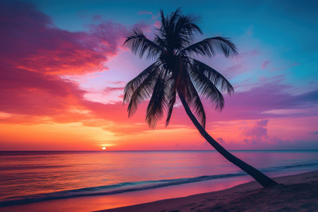 Beautiful tropical beach and sea with coconut palm tree at sunset time - Vintage Filterの素材