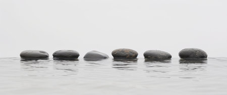 Zen stones in the water with fog in the background and copy spaceの素材