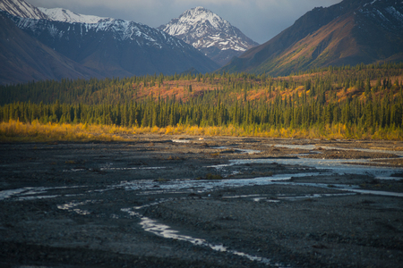 morning light and shadow in denali national parkの写真素材