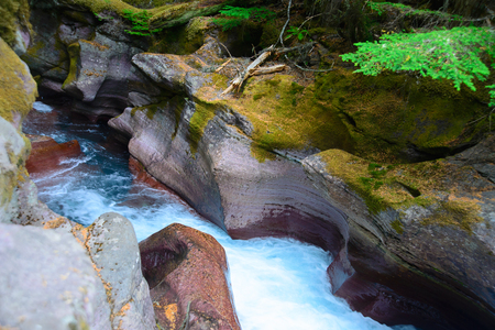 Avalanche Gorge in Glacier national park ,montana, usaの写真素材