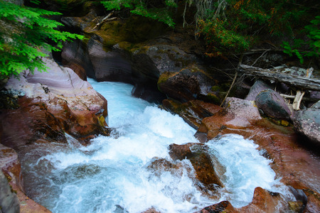 Avalanche Gorge in Glacier national park ,montana, usaの写真素材