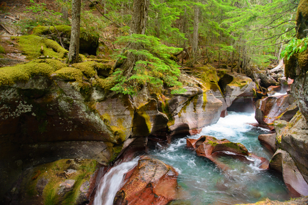 Avalanche Gorge in Glacier national park ,montana, usaの写真素材